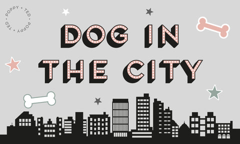 Dog in the City