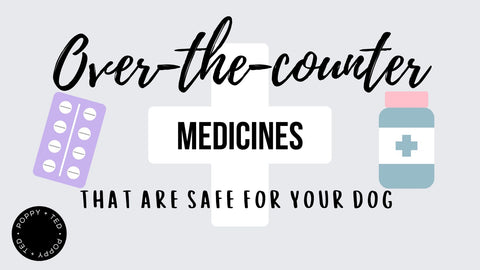 Over-the-Counter Medicines That Are Safe For Your Dog