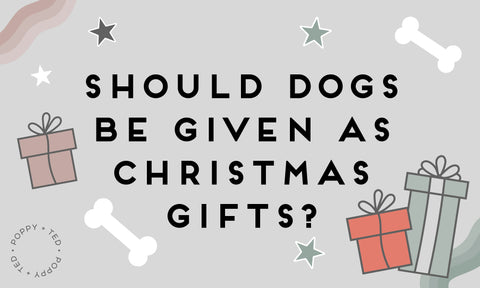 Should Dogs Be Given As Christmas Gifts?