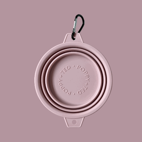 COLLAPSIBLE DOG BOWLS