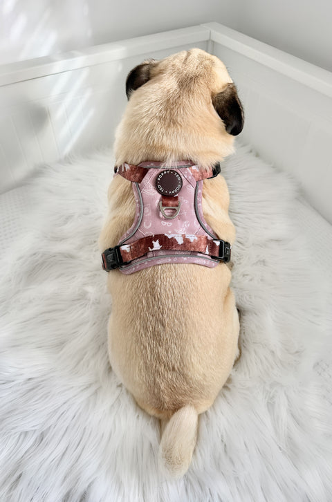 3-Click Tough Step-in Dog + Puppy Harness | Yeehaw Cowgirl