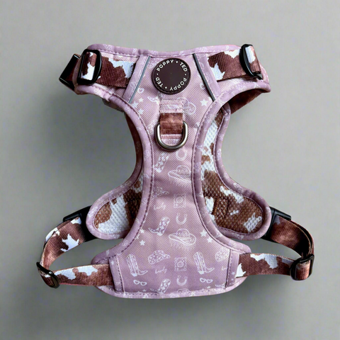 3-Click Tough Step-in Dog + Puppy Harness | Yeehaw Cowgirl