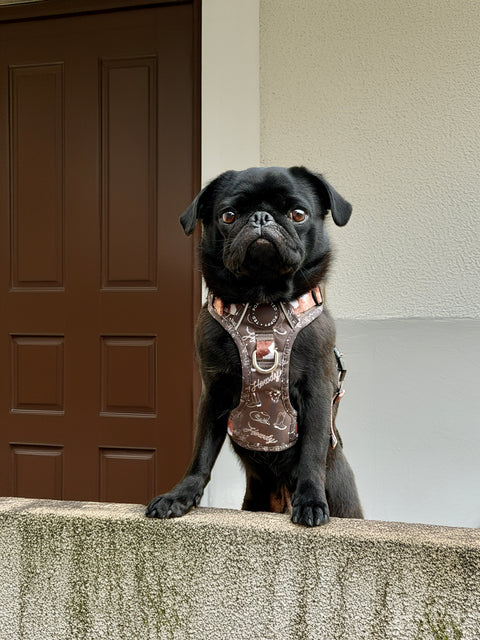 3-Click Tough Step-in Dog + Puppy Harness | Howdy Cowdog