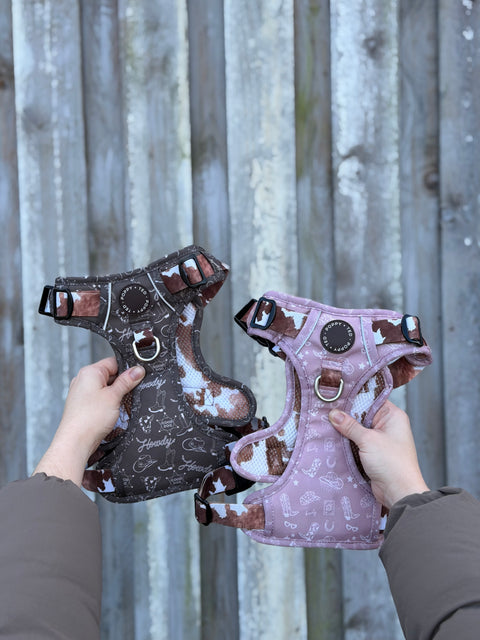 3-Click Tough Step-in Dog + Puppy Harness | Yeehaw Cowgirl