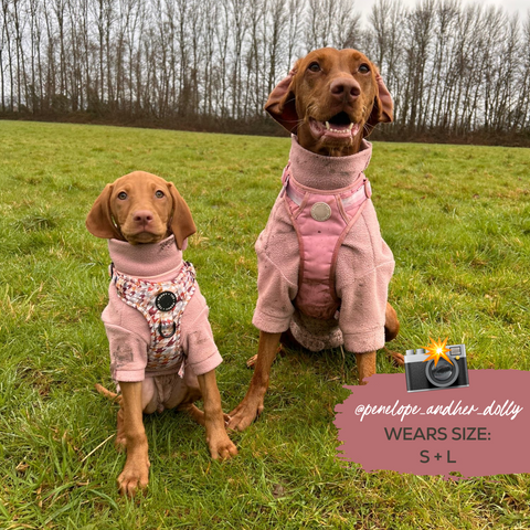 Cosy Dog Fleece Jumper - Zip Up / Step in Style | Ink Blue