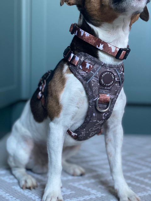 Walk + Wear | Dog Collar | Cowprint - Howdy Cowdog / Yeehaw Cowgirl