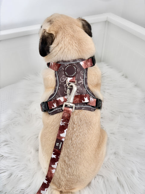 Walk + Wear | Dog Lead | Cowprint - Howdy Cowdog / Yeehaw Cowgirl