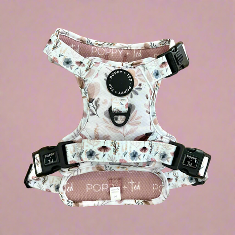 3-Click Tough Step-in Dog + Puppy Harness | Pressed Petal