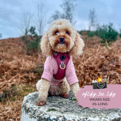 Cosy Dog Fleece Jumper - Zip Up / Step in Style | Ink Blue