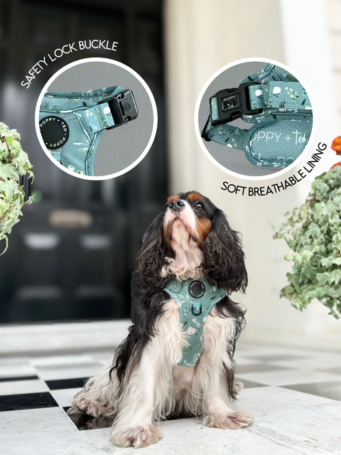 3-Click Tough Step-in Dog + Puppy Harness | Botanical Garden