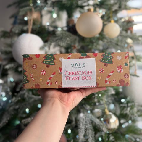 Vale Pet Foods | Christmas Feast Box | 30 Air-Dried Natural Dog Treats 