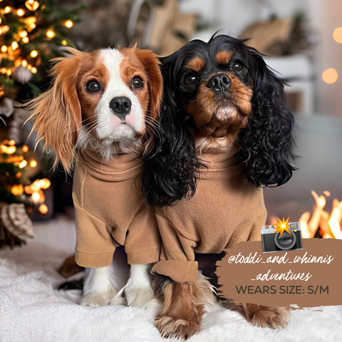 Cosy Dog Fleece Jumper - Zip Up / Step in Style | Ink Blue