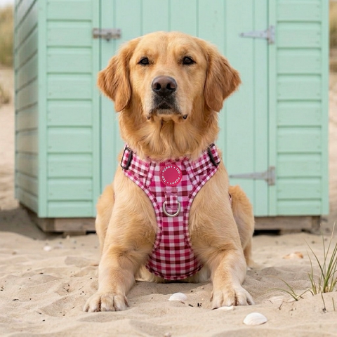 3-Click Tough Step-in Dog + Puppy Harness | Teaberry Plaid