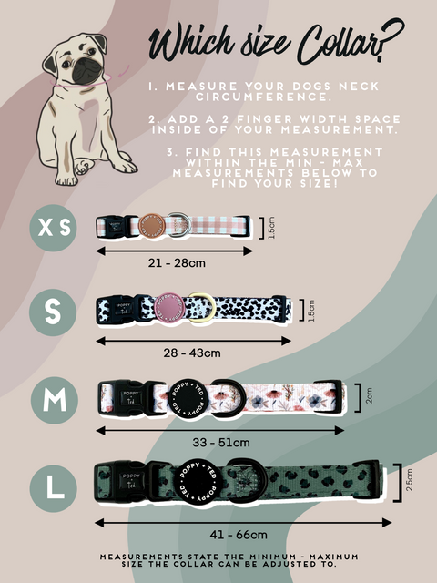 Walk + Wear | Dog Collar | Botanical Garden