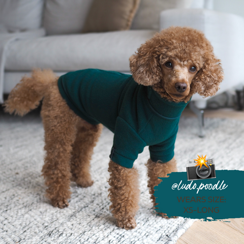 Cosy Dog Fleece Jumper - Zip Up / Step in Style | Ink Blue