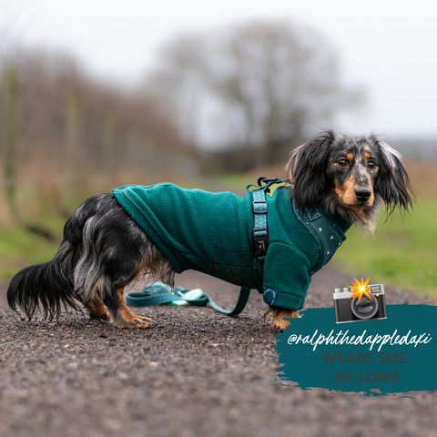 Cosy Dog Fleece Jumper - Zip Up / Step in Style | Ink Blue