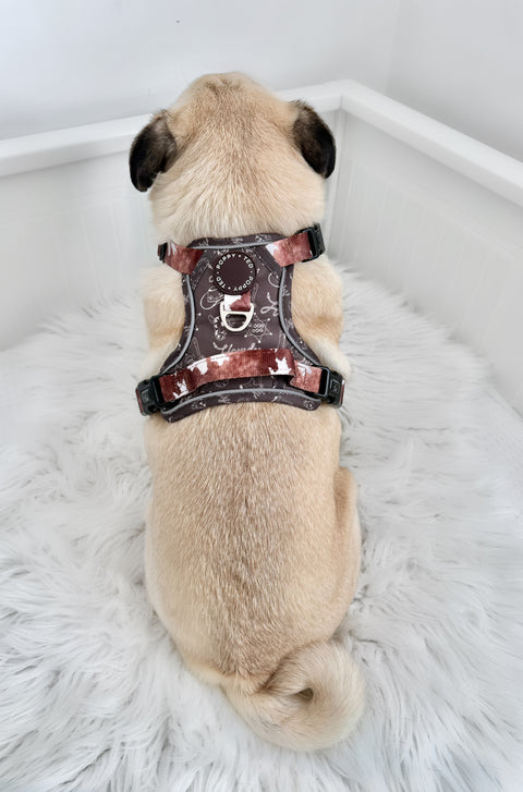 3-Click Tough Step-in Dog + Puppy Harness | Howdy Cowdog