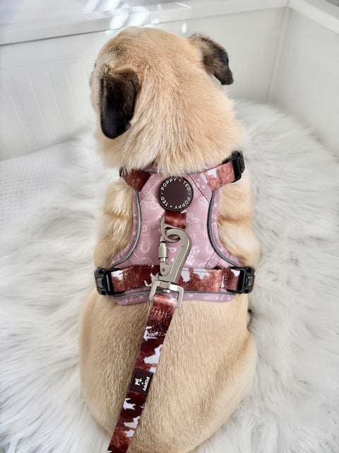 Walk + Wear | Dog Lead | Cowprint - Howdy Cowdog / Yeehaw Cowgirl