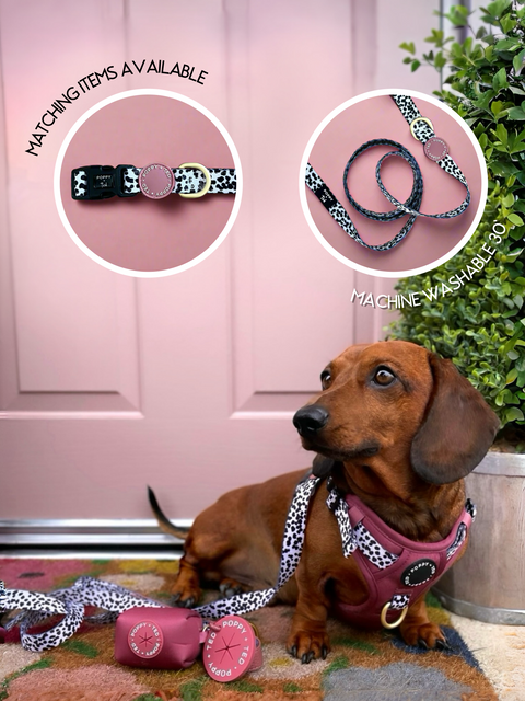Luxe Collection | 3-Click Tough Harness | Berry Dalmatian