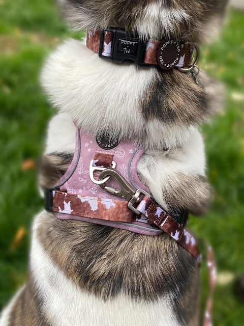 3-Click Tough Step-in Dog + Puppy Harness | Yeehaw Cowgirl
