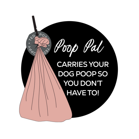 Poop Pal | Dog Poop Carrier | Black
