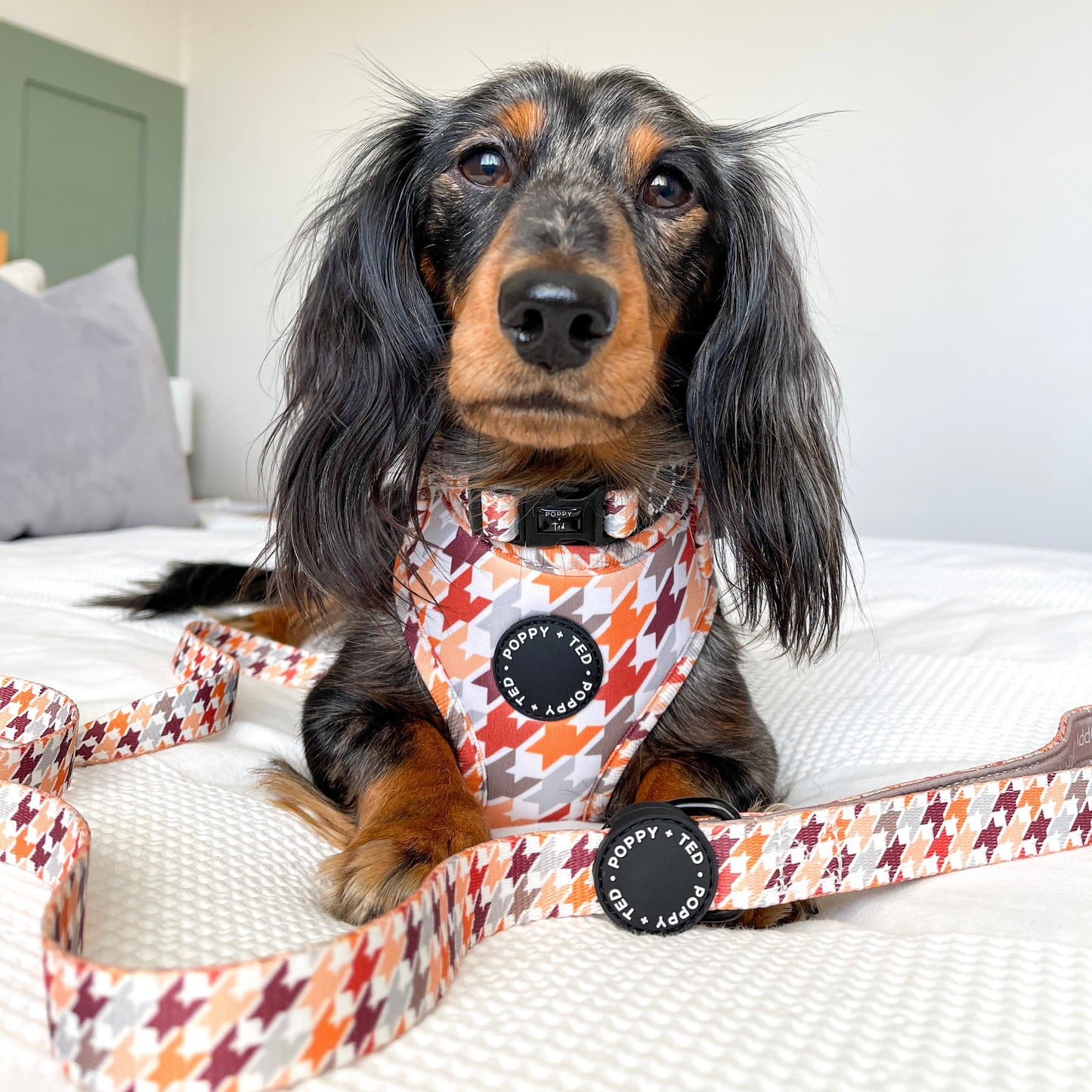 Adjustable Dog Harness | Cinnamon Spice Houndstooth