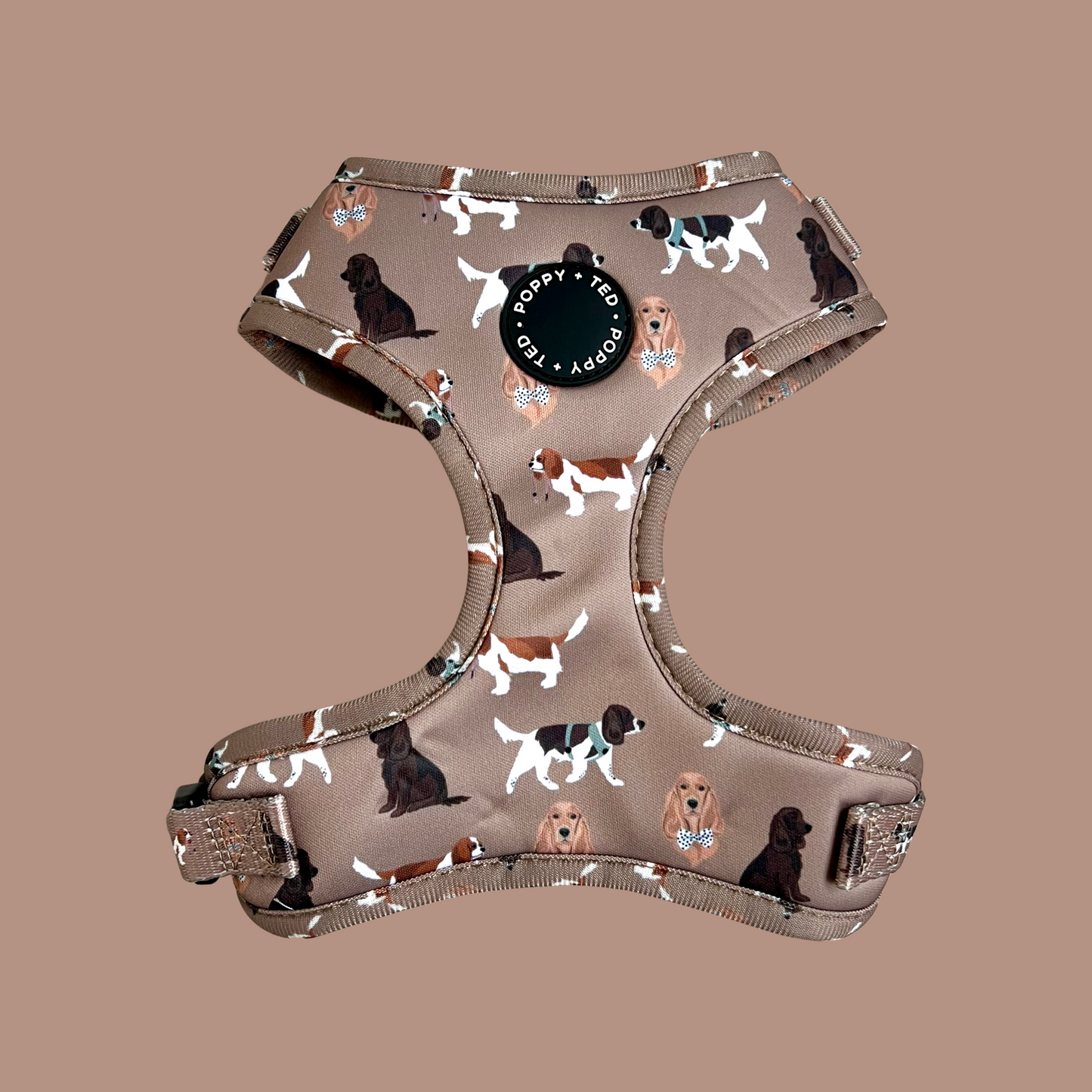 Cavalier / King Charles / Cocker Spaniel Harness: Breed Collection