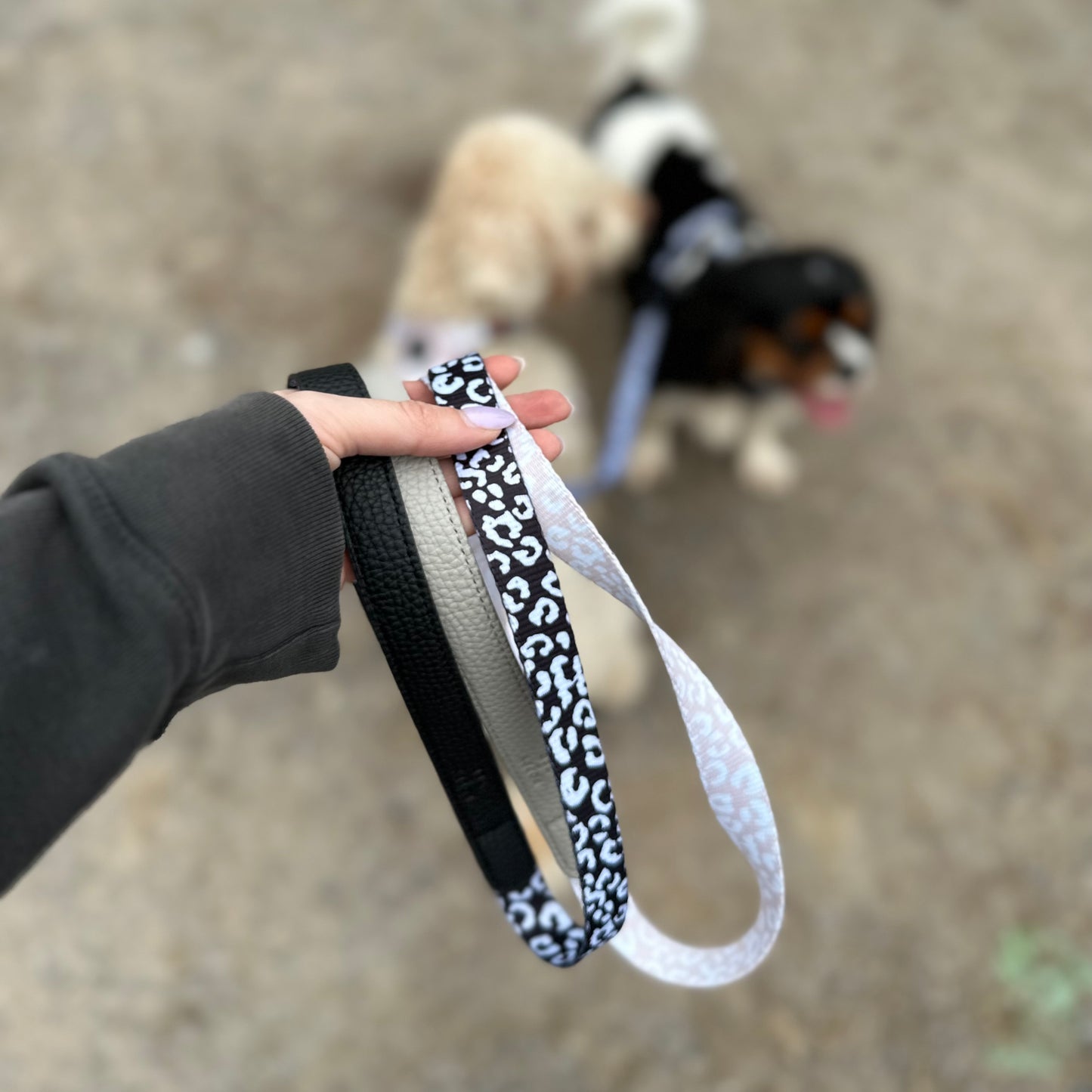 Luxe Collection | Dog Lead | Black Leopard