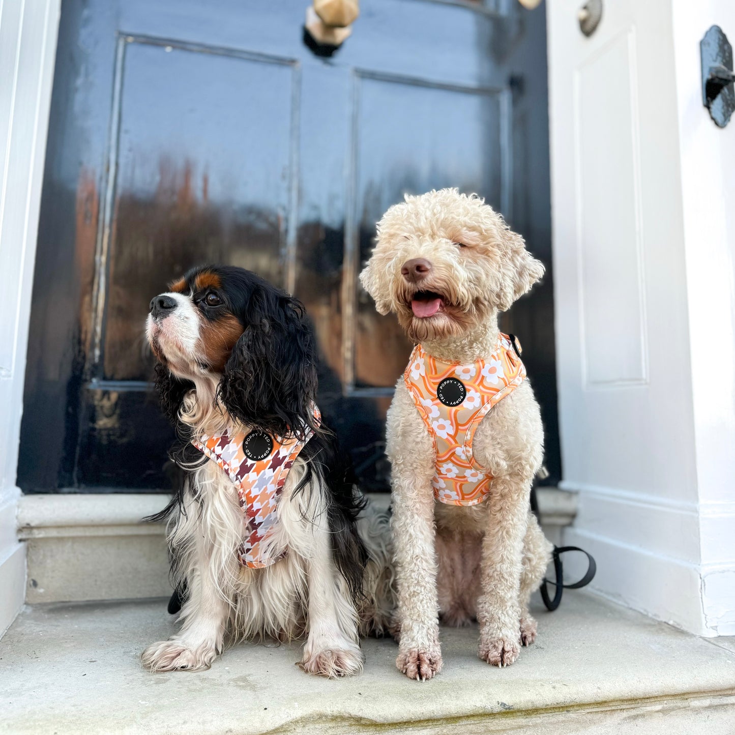 Adjustable Dog Harness | Cinnamon Spice Houndstooth