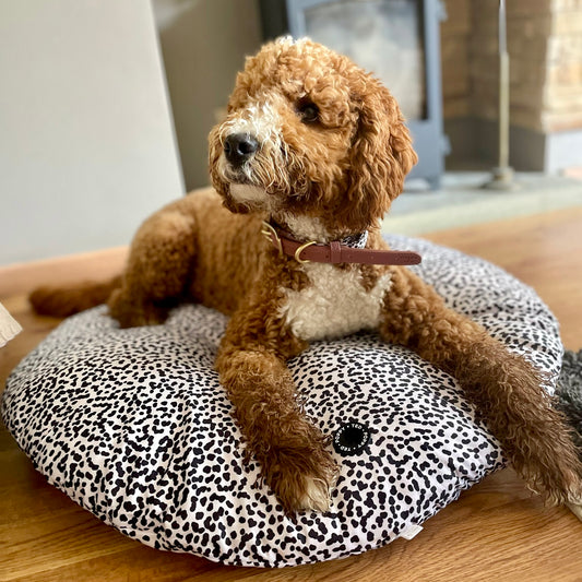 Dalmatian Print Dog Bed | Luxe Collection