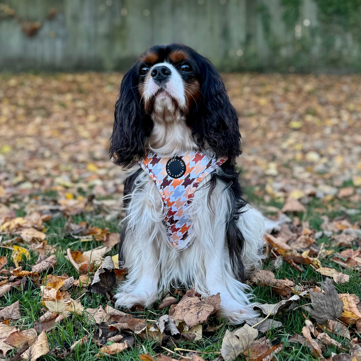 Adjustable Dog Harness | Cinnamon Spice Houndstooth