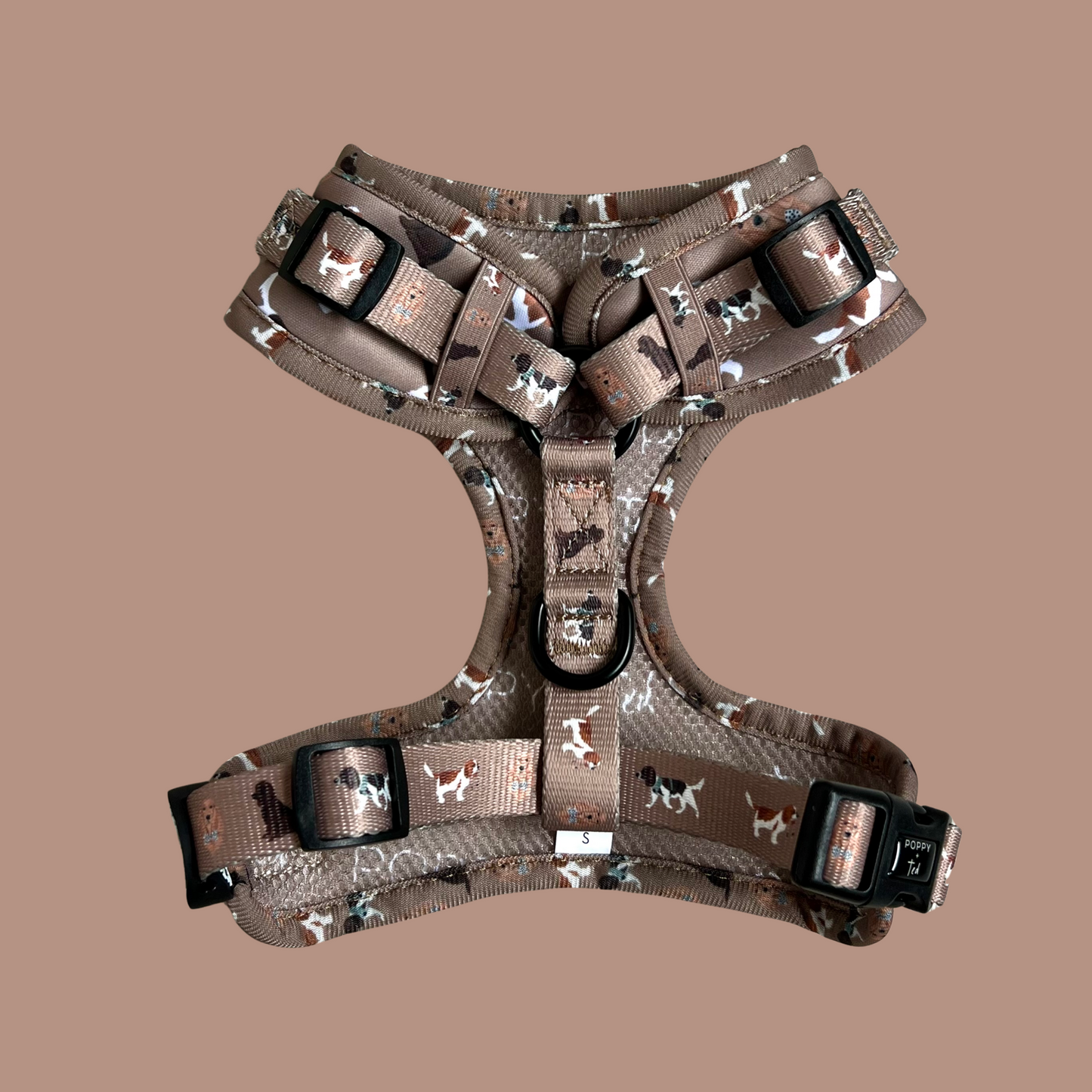 Cavalier / King Charles / Cocker Spaniel Harness: Breed Collection