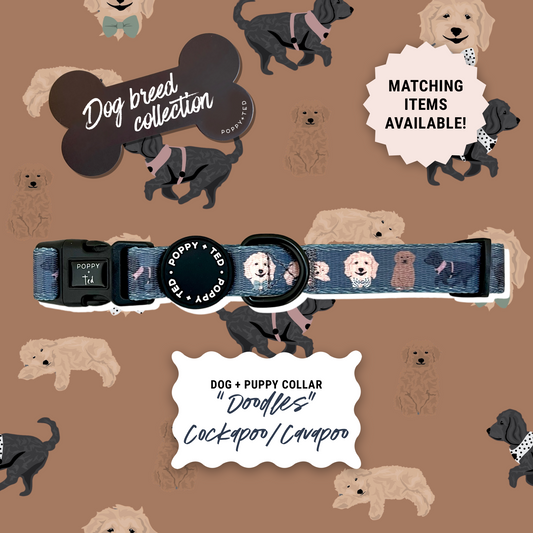 Cockapoo/Cavapoo/Doodle Collar: Breed Collection