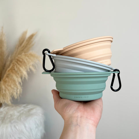 Green Collapsing Dog Bowl | Luxe Collection