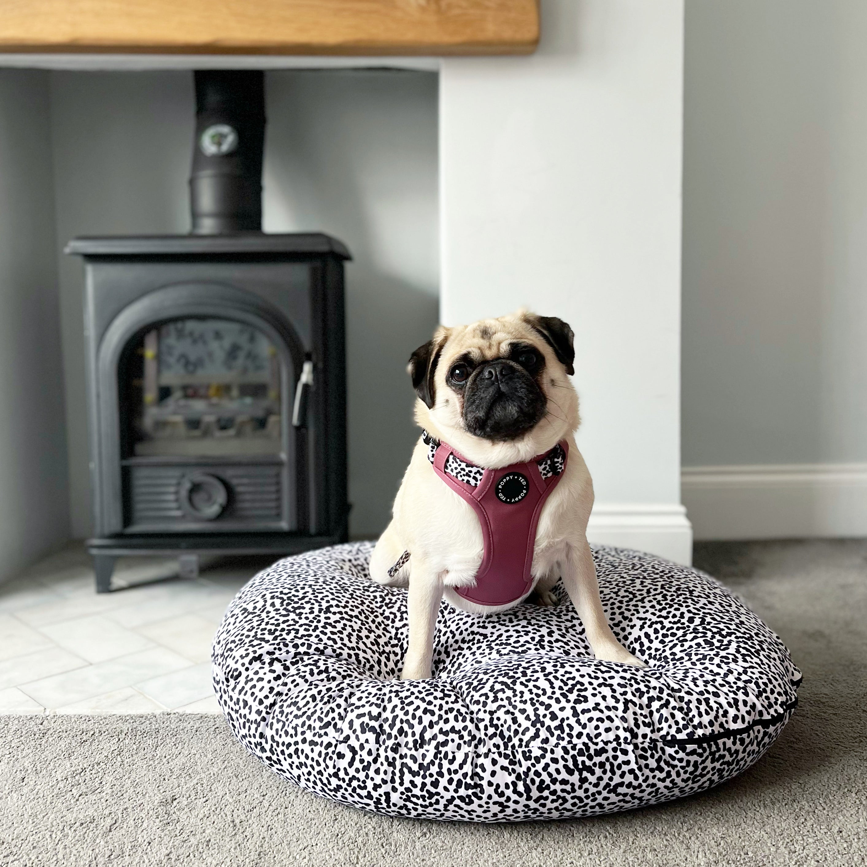 Pug print 2024 dog bed