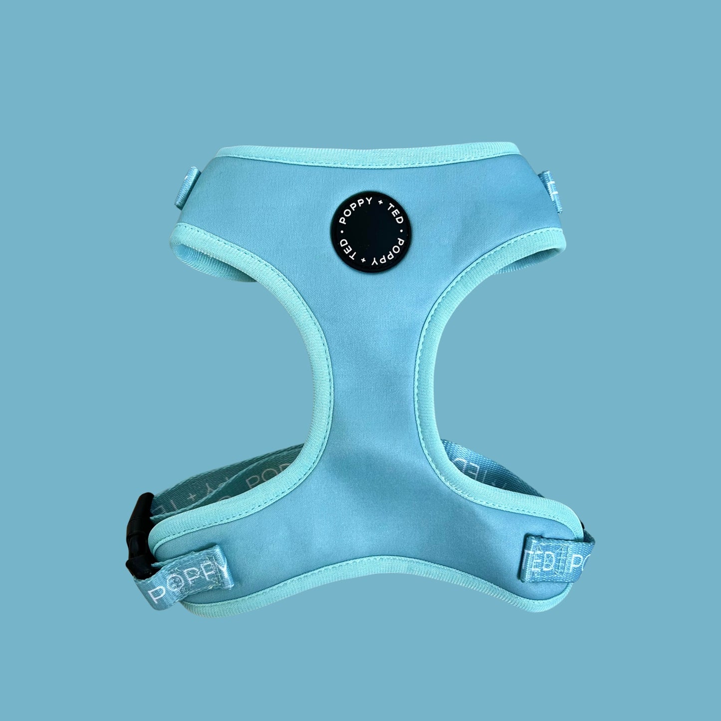 Essentials Collection | Adjustable Dog Harness | Seafoam