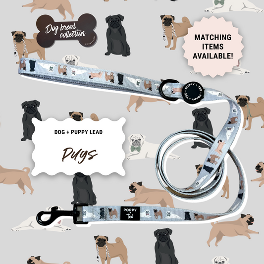 Pug Lead: Breed Collection