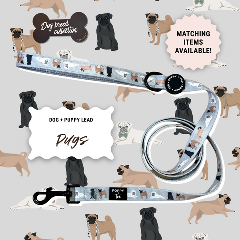 Pug Lead: Breed Collection - *32 LEFT*