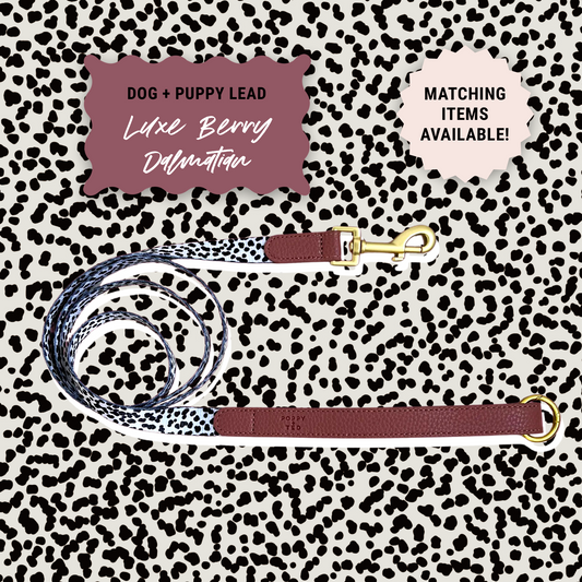 Luxe Collection | Dog Lead | Berry Dalmatian
