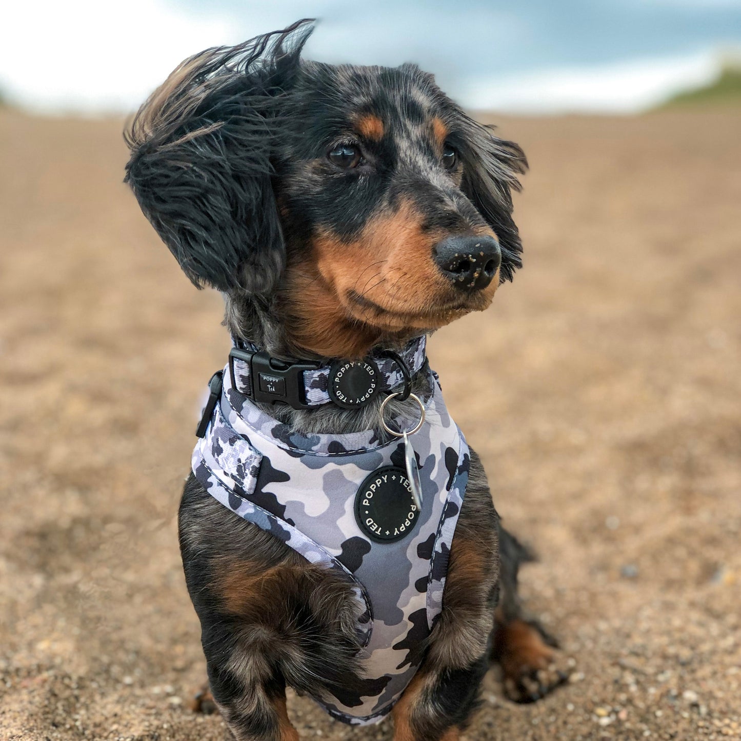 Walk + Wear | Adjustable Dog Harness | The Camo