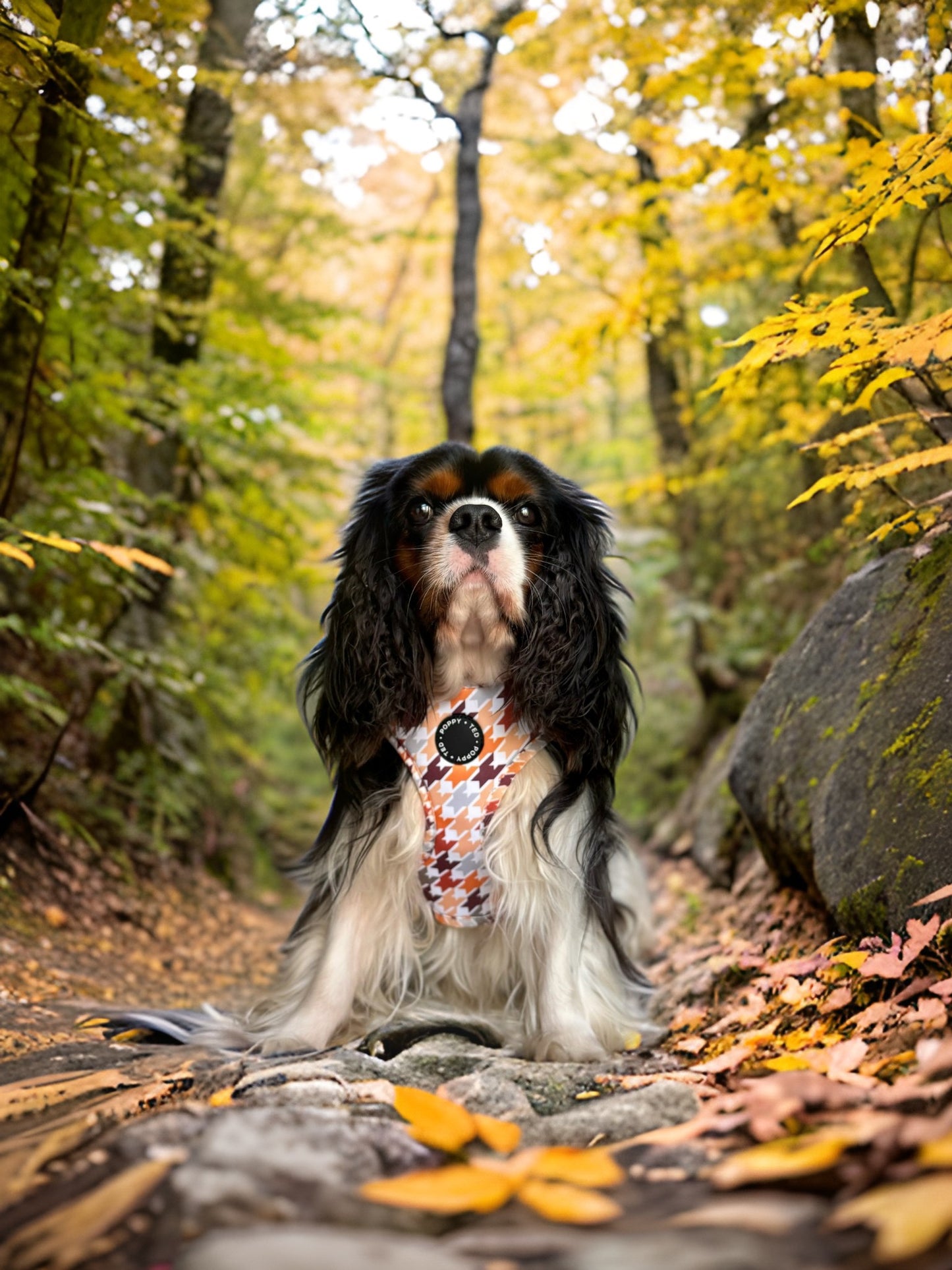 Adjustable Dog Harness | Cinnamon Spice Houndstooth