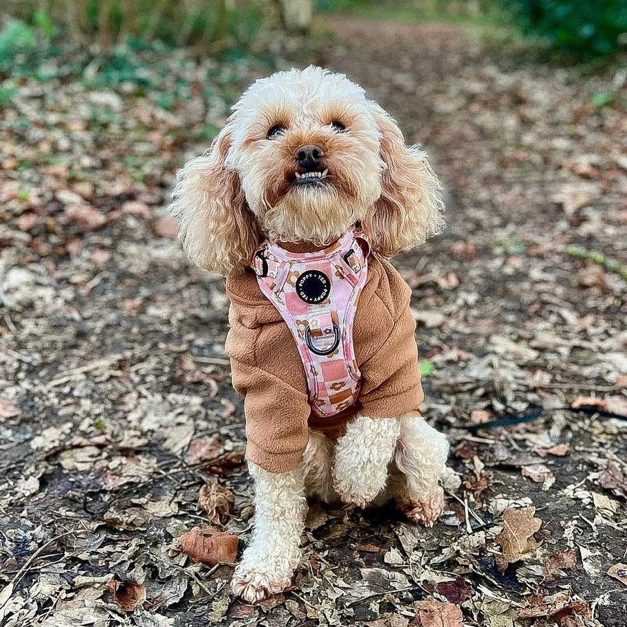 Cosy dog fleece harness sale