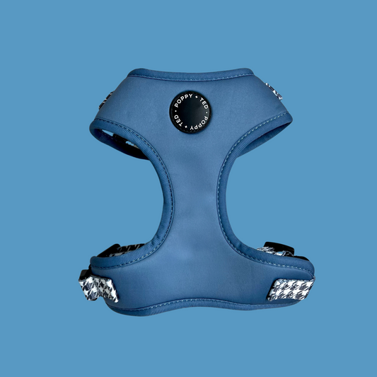 Luxe Collection | Adjustable Dog Harness | Blue Houndstooth