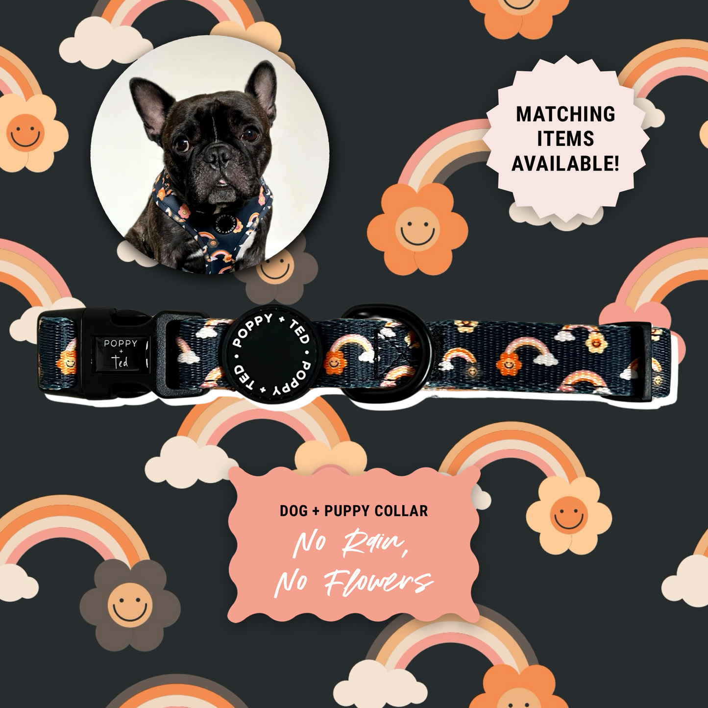 Matching sales dog collars