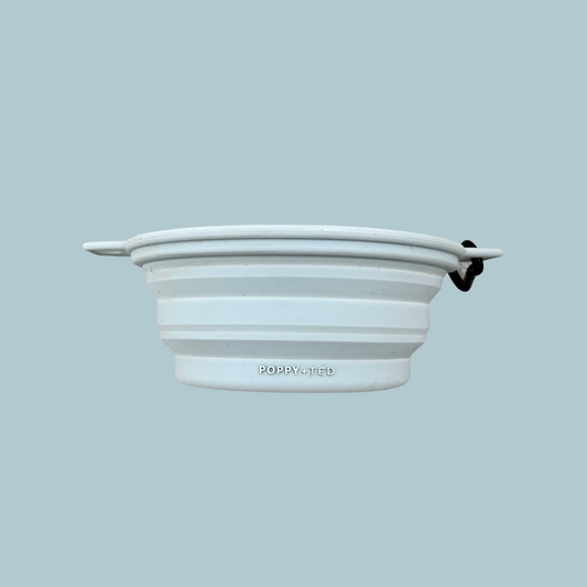 Collapse dog bowl deals