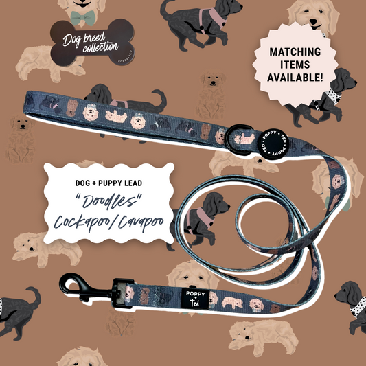 Cockapoo/Cavapoo/Doodle Lead: Breed Collection