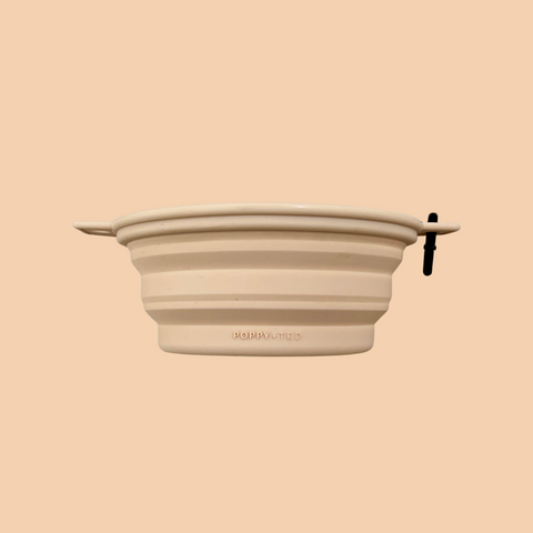 Pink Collapsible Dog Bowl | Luxe Collection