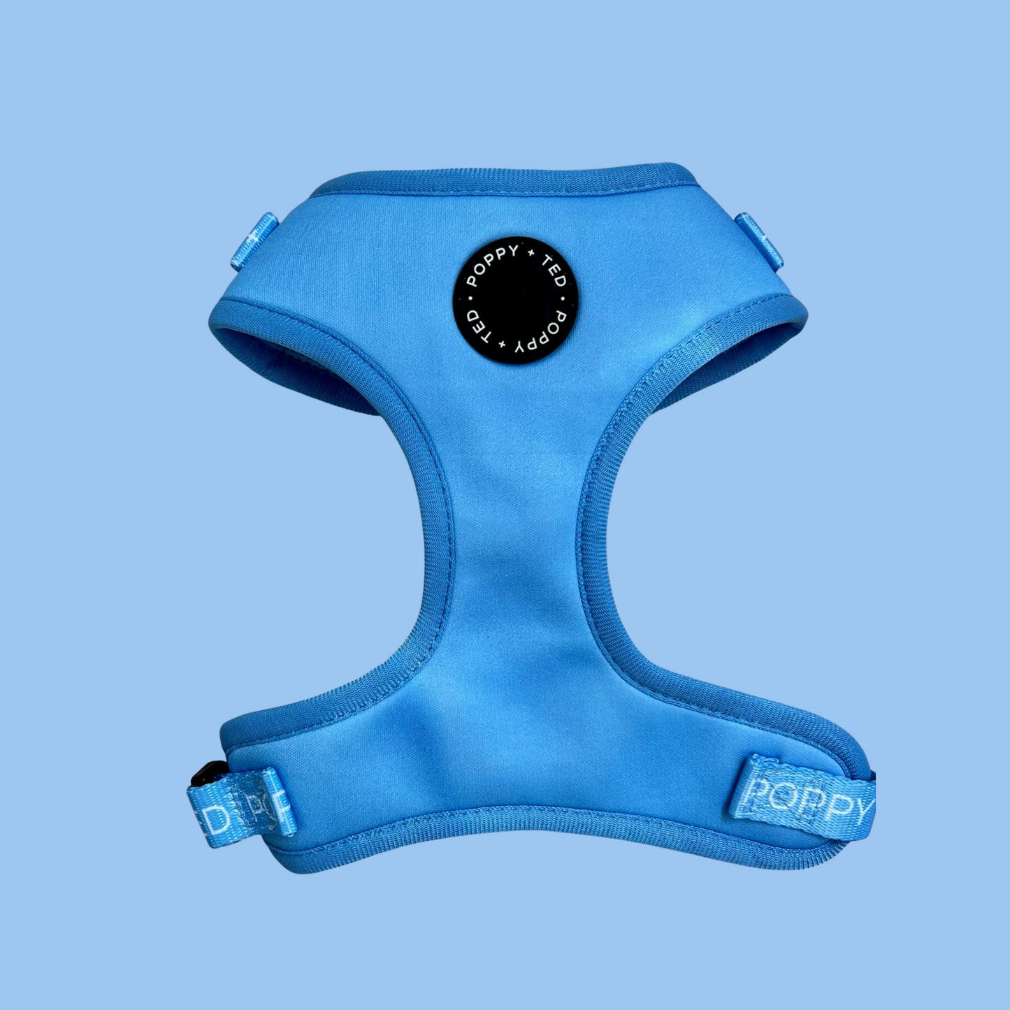 Essentials Collection | Adjustable Dog Harness | Cornflower Blue