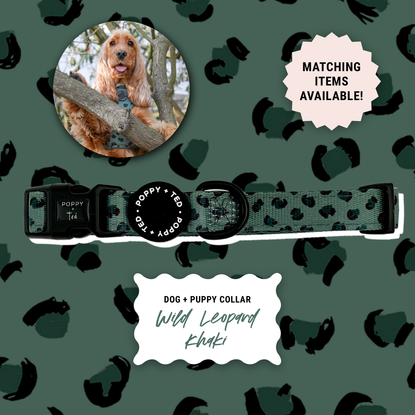 Walk + Wear | Dog Collar | Wild Leopard - Khaki