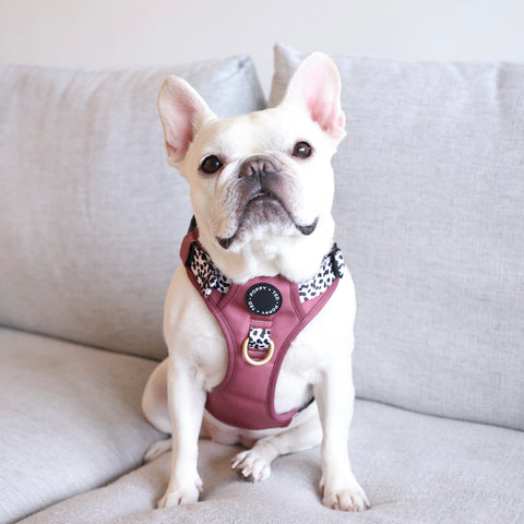 Luxe Collection | 3-Click Tough Harness | Berry Dalmatian